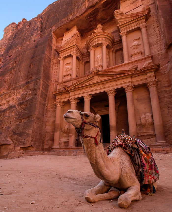 Photo of camel in Petra, Jordan.