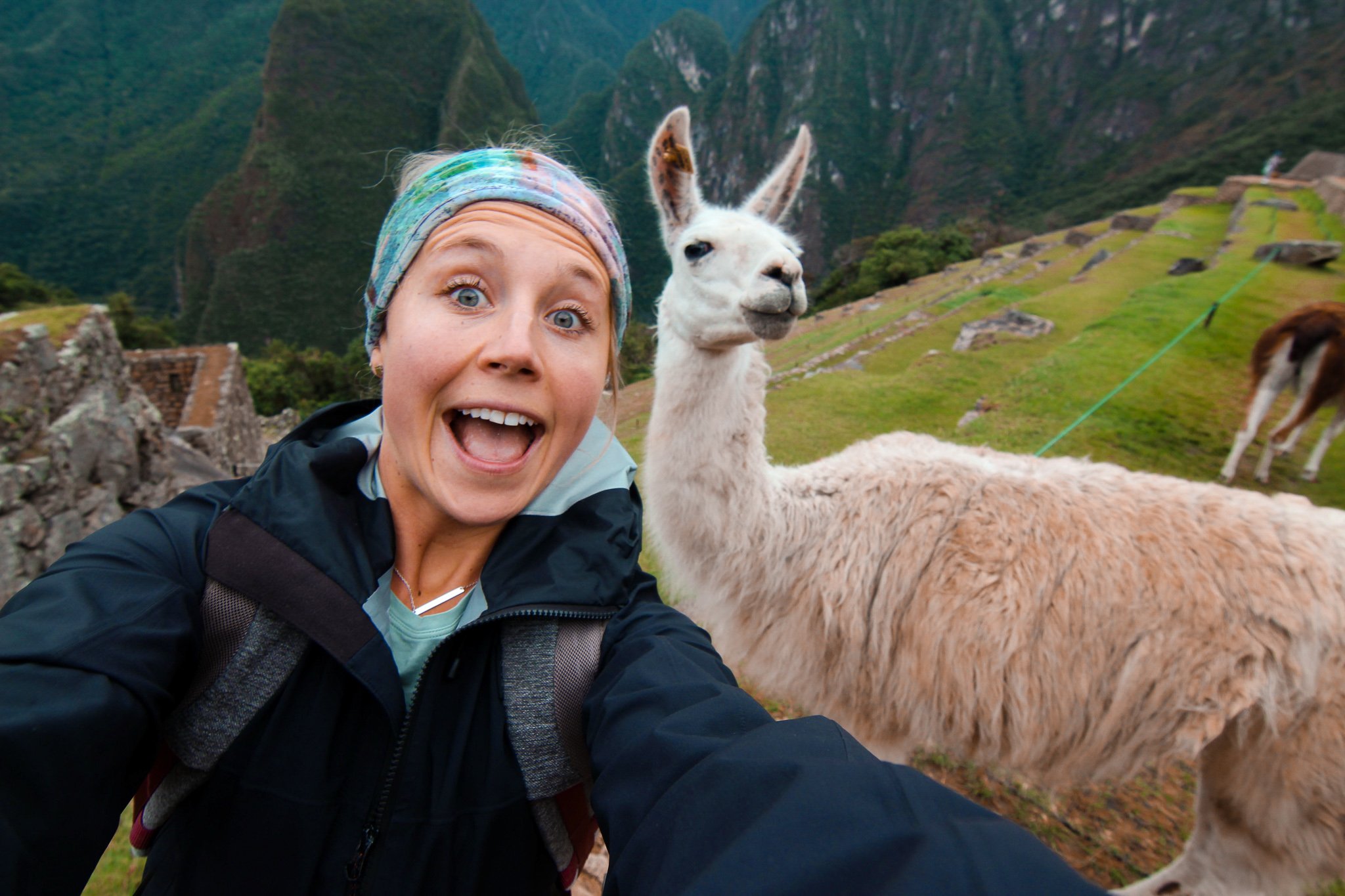 TrovaTrip woman smiling next to a posing alpaca on a green mountain in Peru