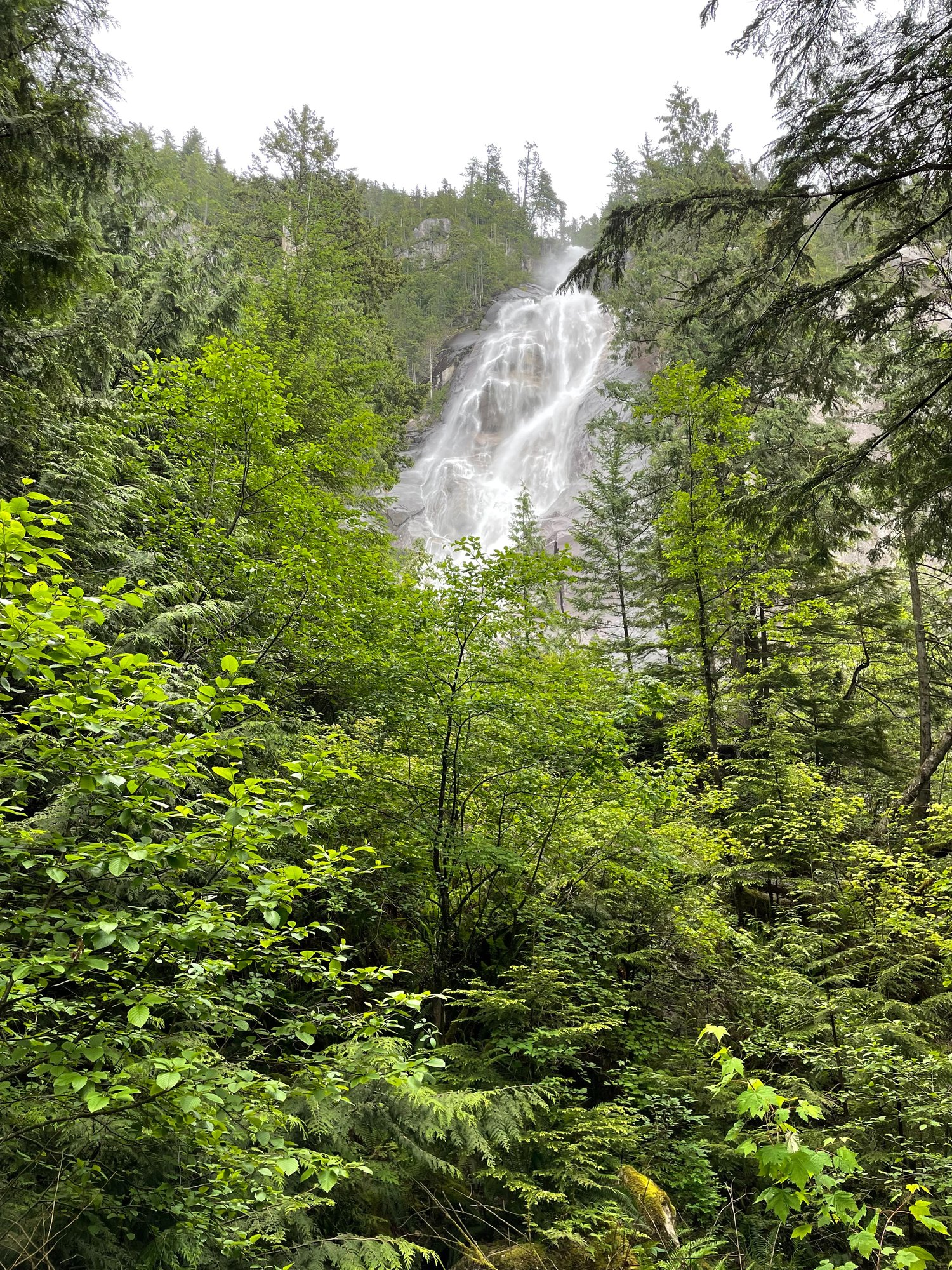 Shannon Falls in British Columbia.