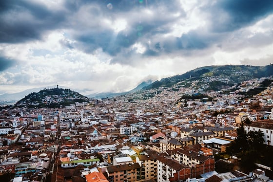 evan-wise-O0NqAA7IF1A-unsplash