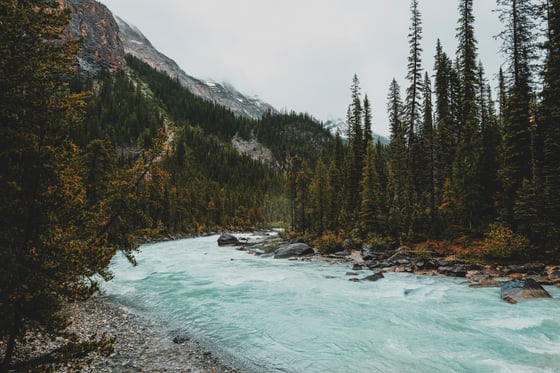 jess-barnett-9O3_JJOT3As-unsplash