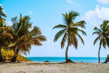 meritt-thomas-Yy4CcYf3e8Q-unsplash