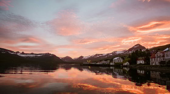 misha-martin-lNTWu8RbtEo-unsplash