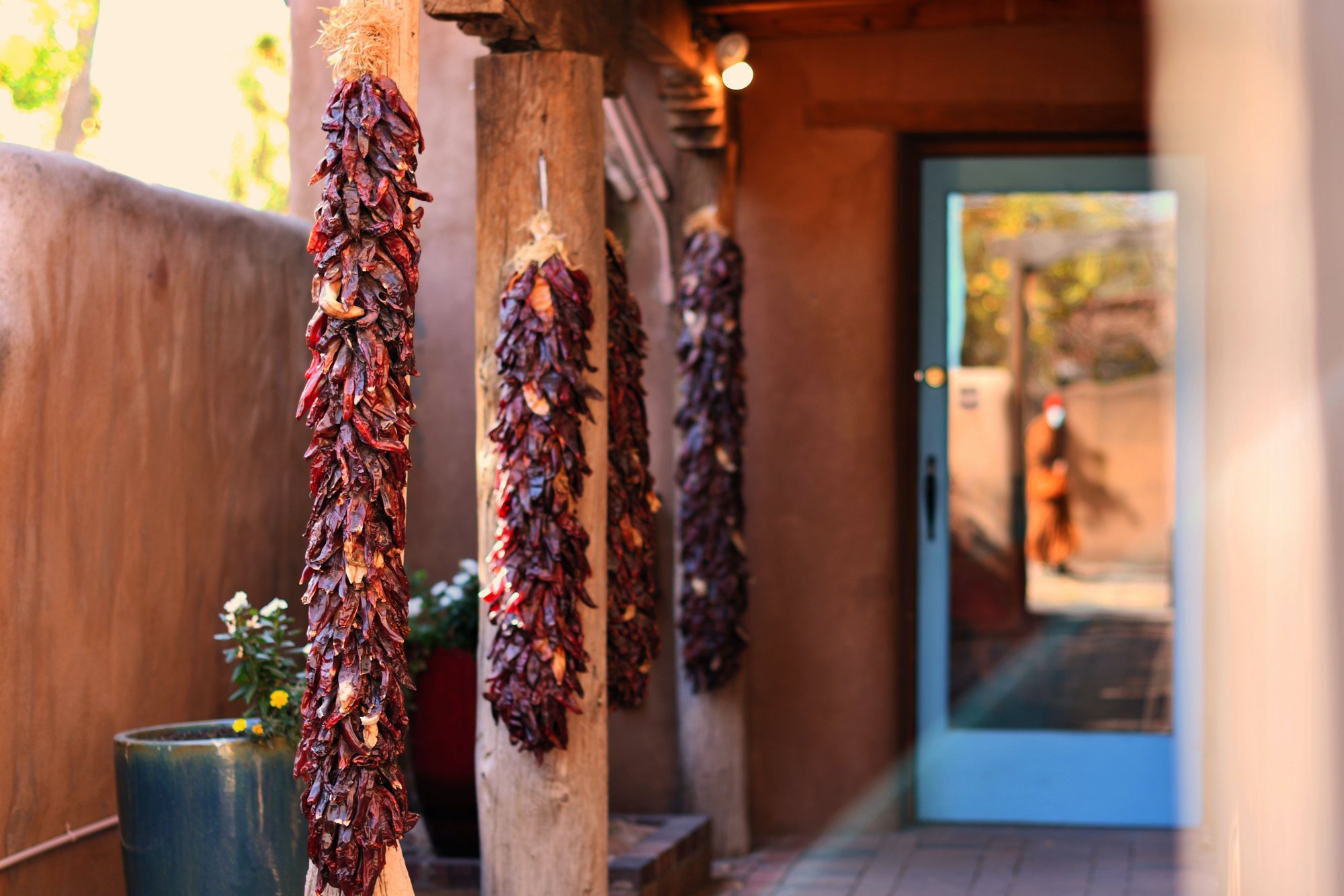 Chili peppers in Santa Fe, New Mexico.