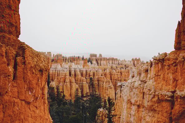 nick-herasimenka-t-3SoodYnR4-unsplash