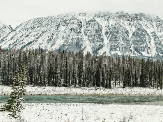 suzanne-rushton-p8mwwIF3GHE-unsplash