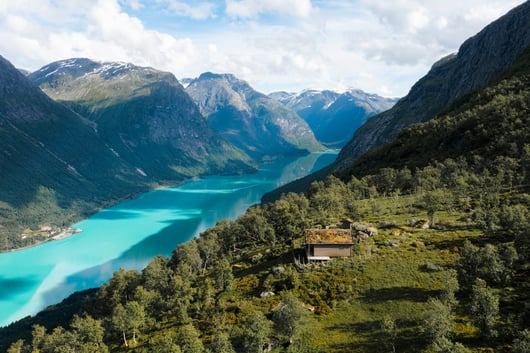 till-daling-I42fVPVou-k-unsplash