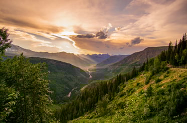 tony-reid-UMJUr3st0AE-unsplash