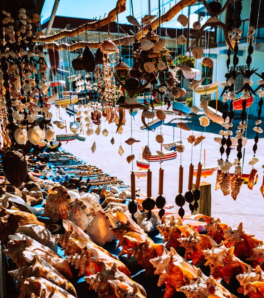 Shell market in Belize.