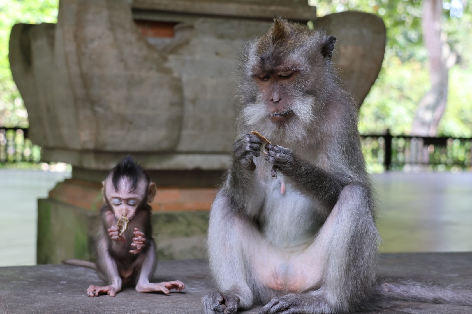 trovatrip-offtheclocknurse-bali-20230902203955_812A0479
