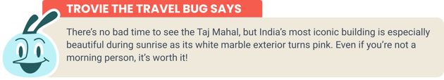 trovatrip-trovie-the-travel-bug-taj-mahal (2)