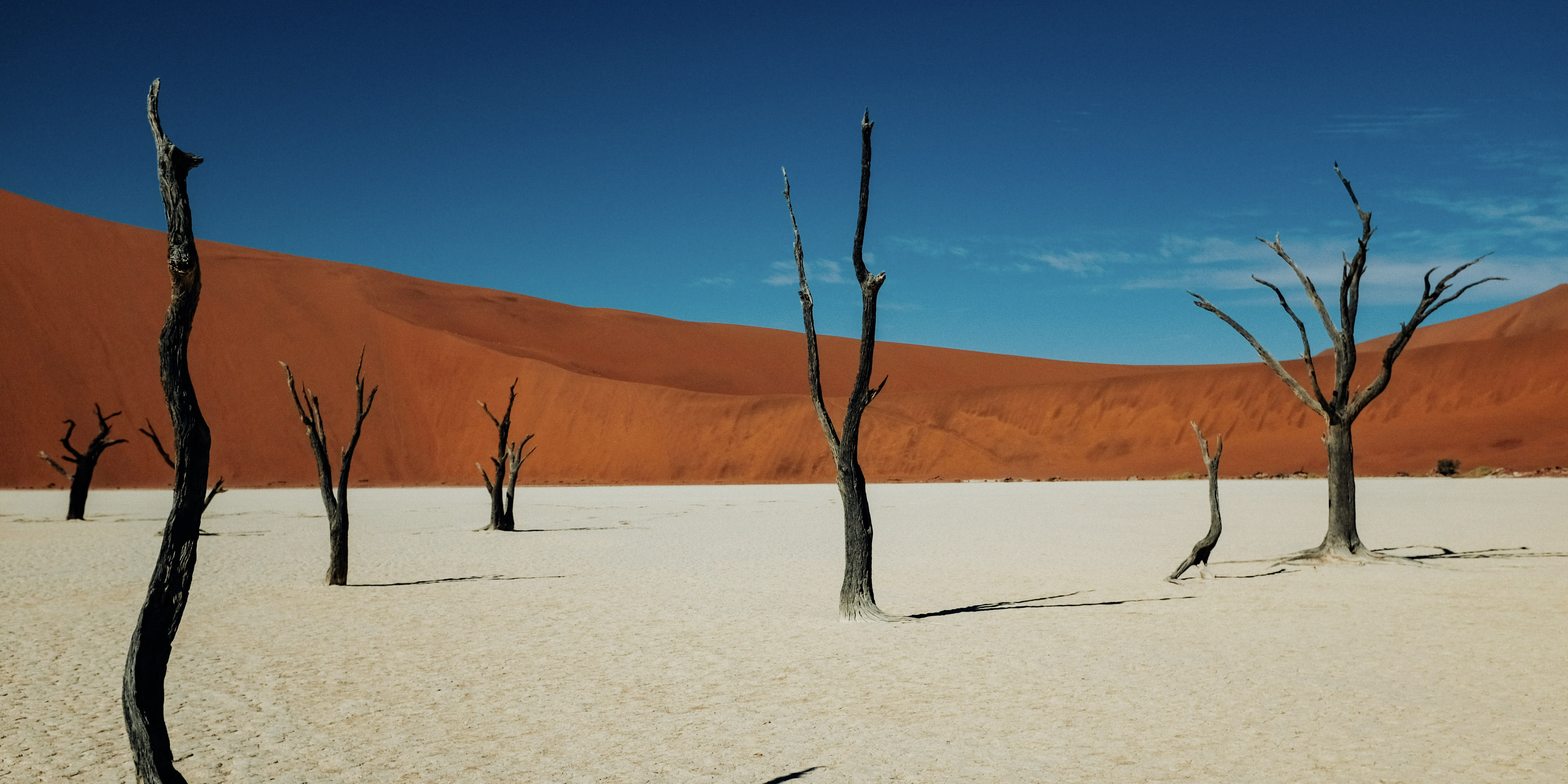 Desert-Namibia