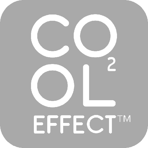 Cool-Effect-Logo-1-gray