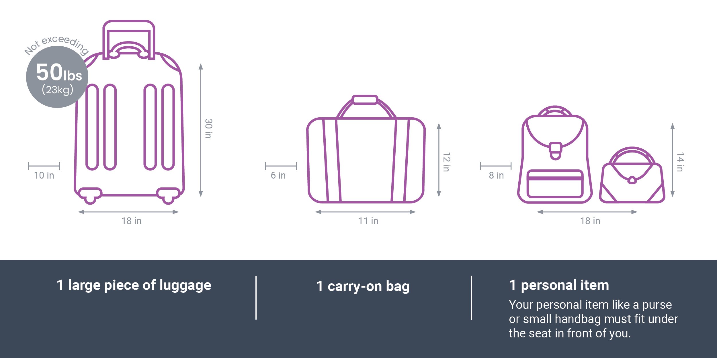 Luggage Restrictions purple