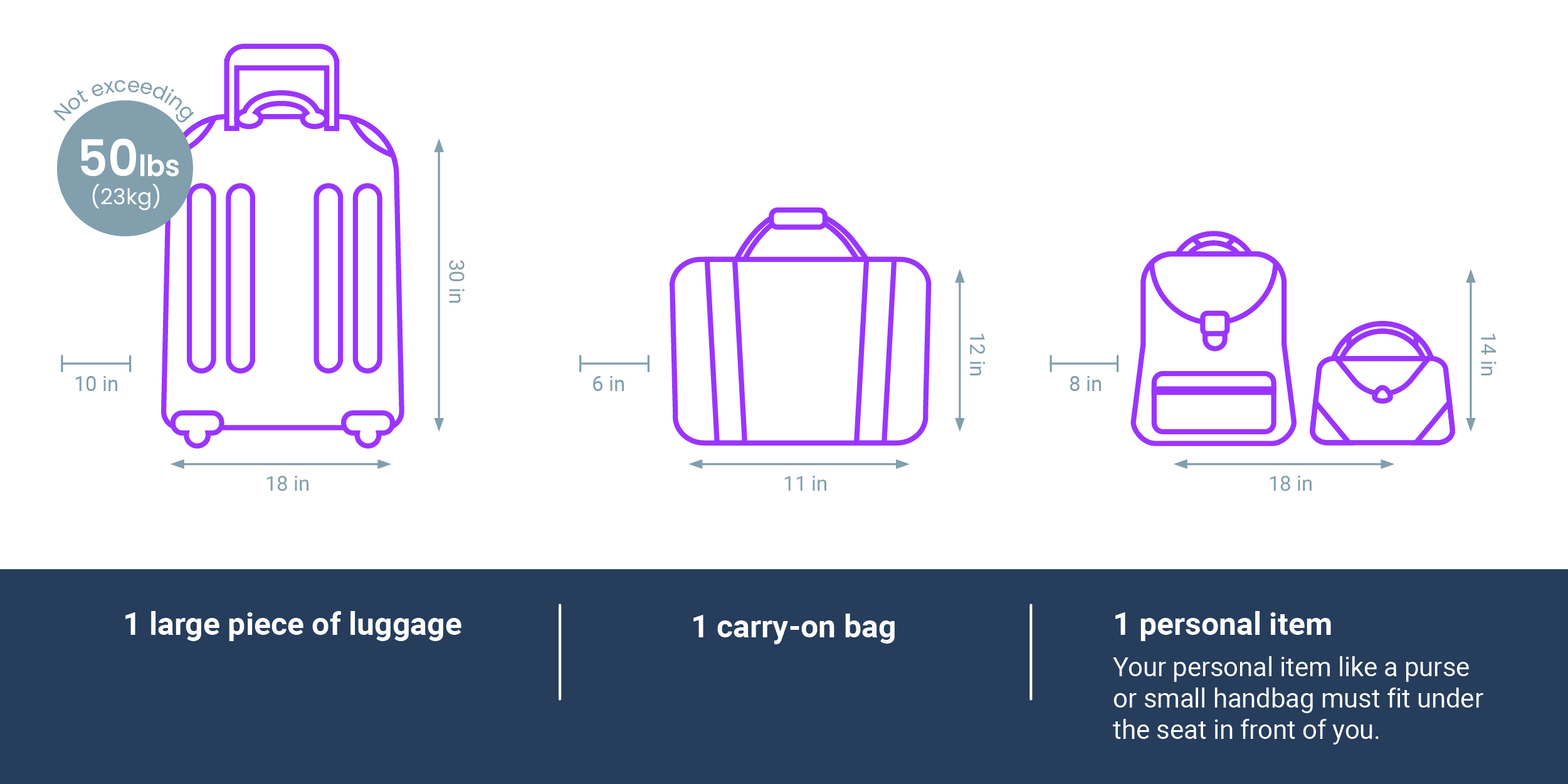 Luggage Restrictions purple (2)