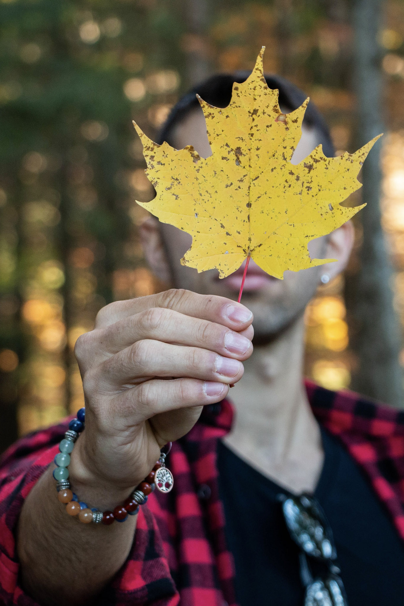 Maple-leaf