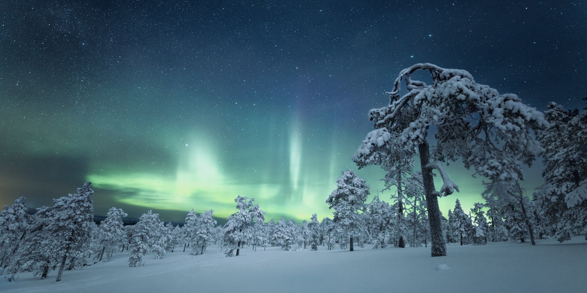 Lapland: Trip Preparation & Destination Information