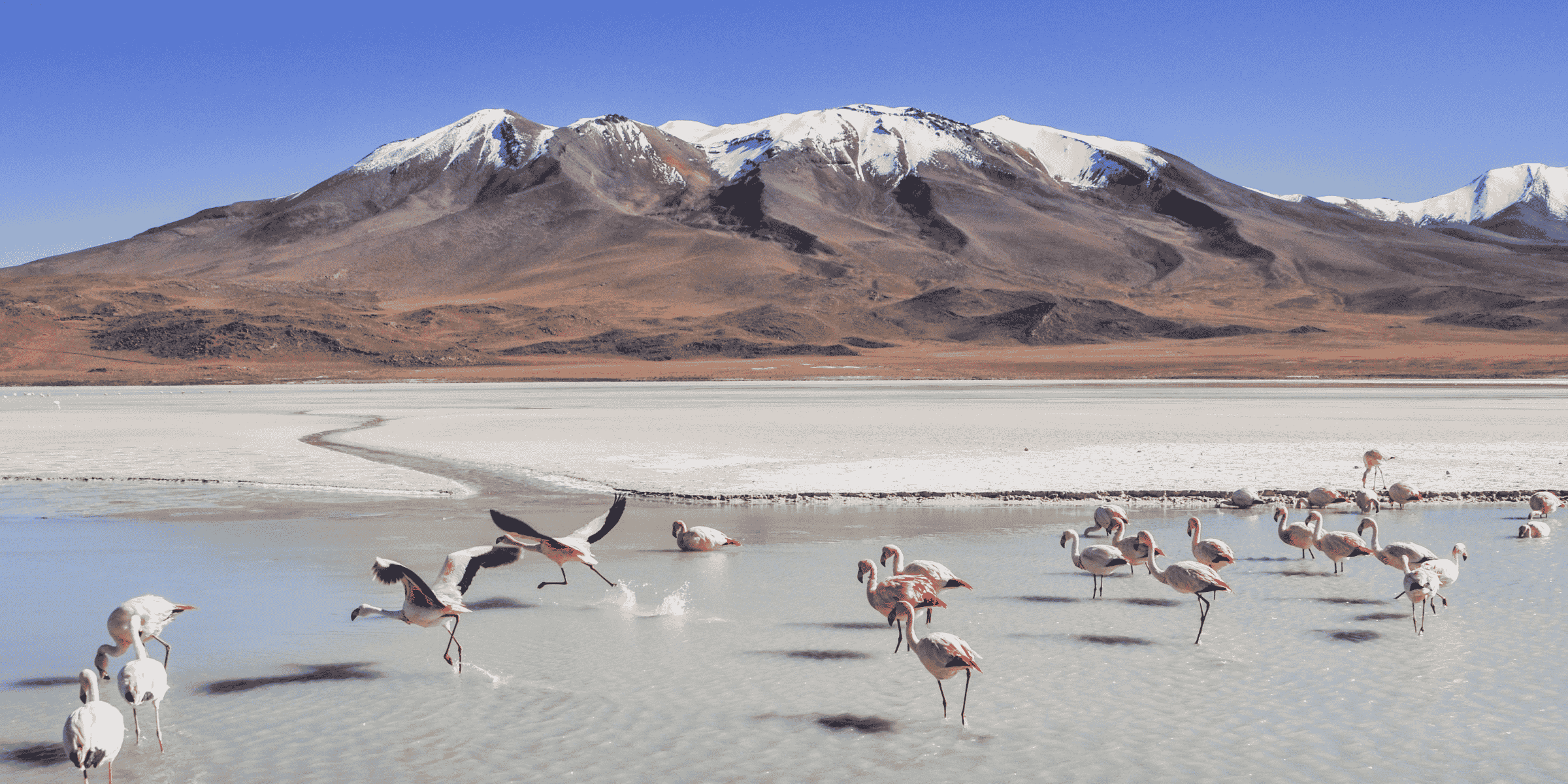 Traveling to Bolivia? Read on for tips to help you prepare for your trip!