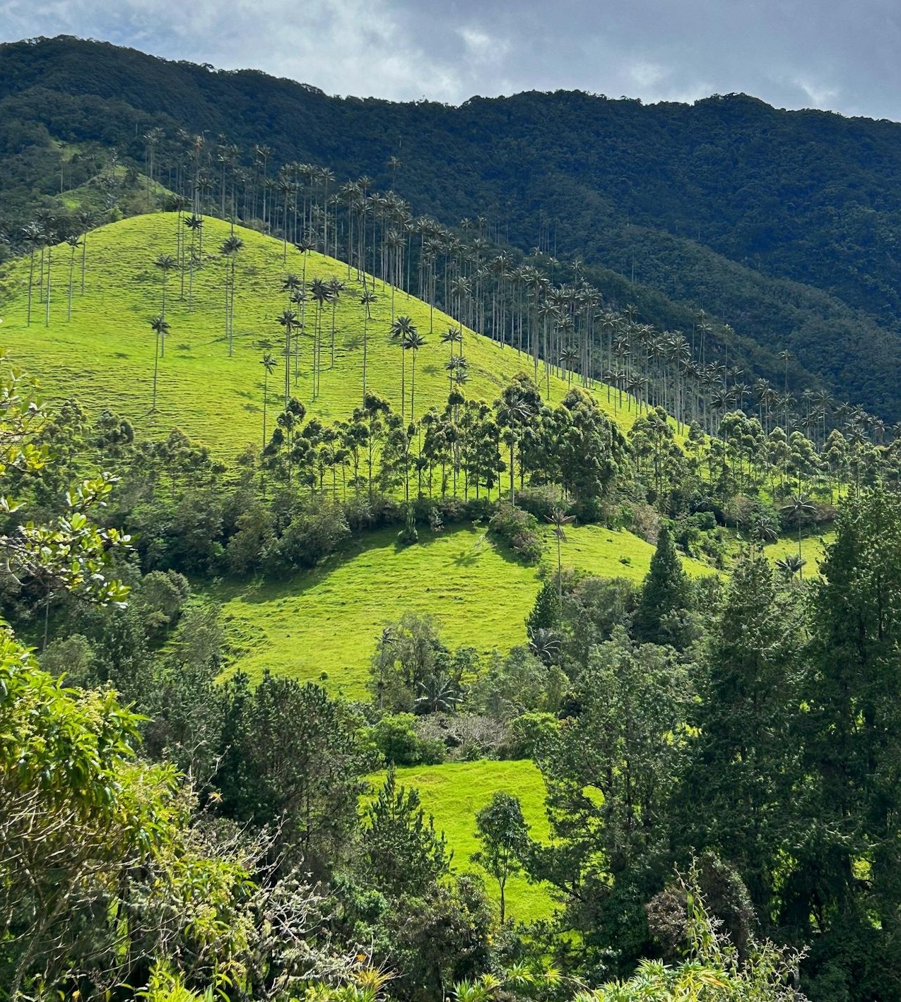 Colombia