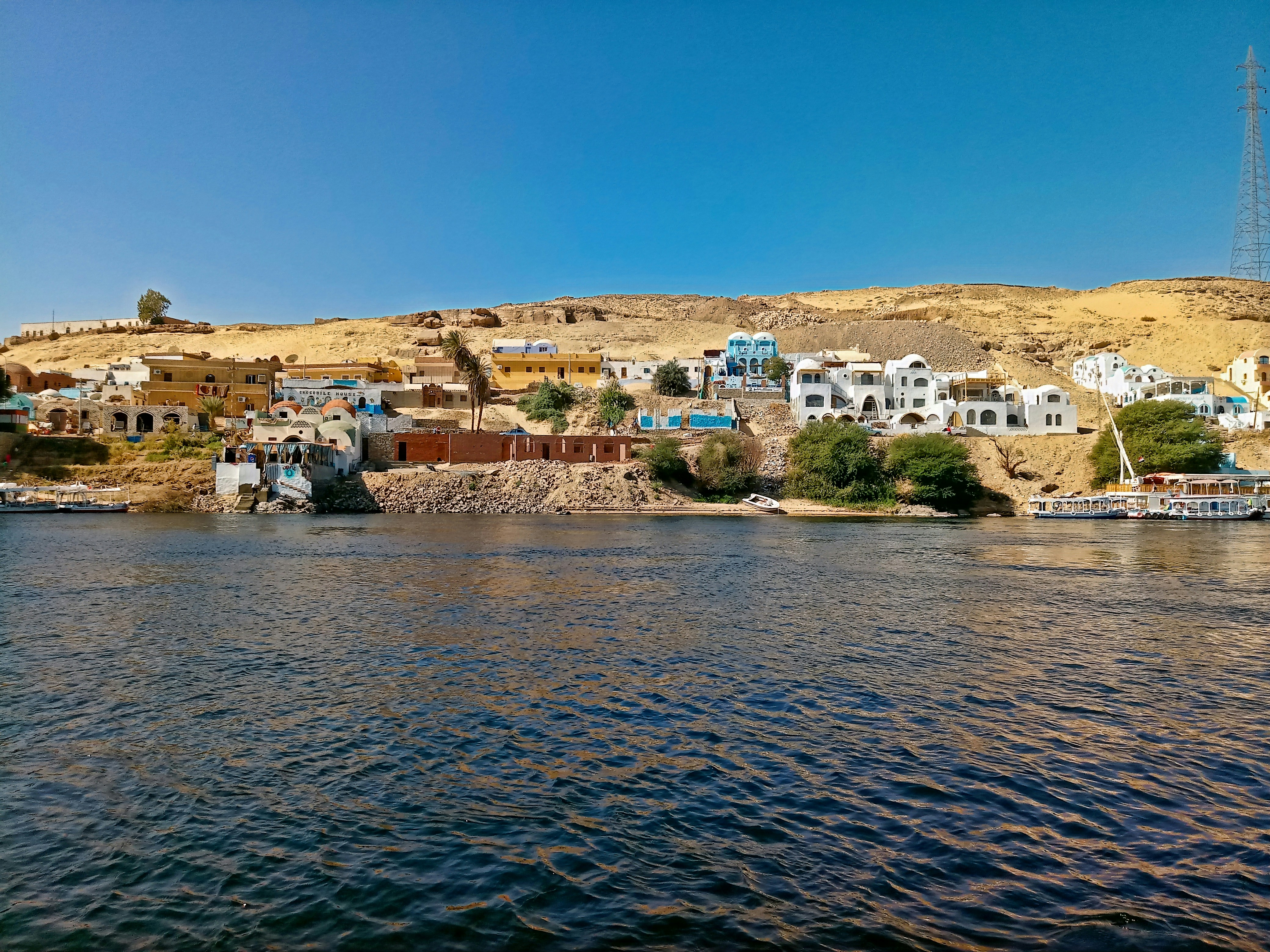 thales-botelho-de-sousa-OY2o1xOLfwo-unsplash
