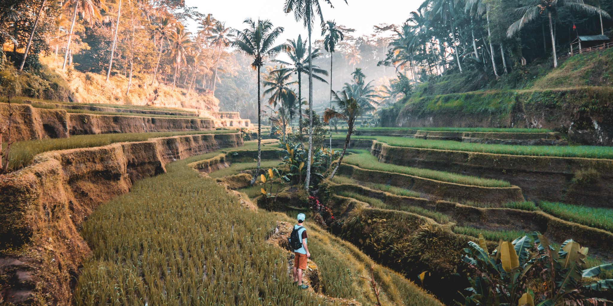 trovatrip-bali-traveler-in-rice-field-